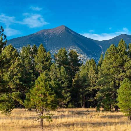 Vila Mt. Elden Adventure Flagstaff Exteriér fotografie