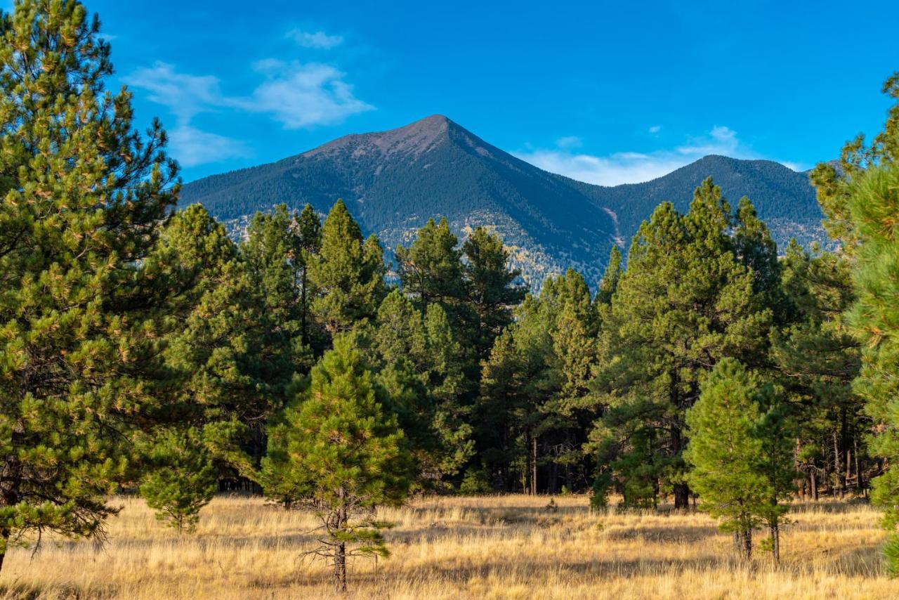 Vila Mt. Elden Adventure Flagstaff Exteriér fotografie